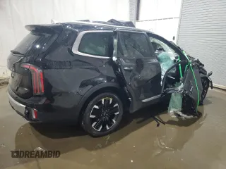 2024 Kia Telluride SX X-Line with VIN 5XYP5DGC9RG510605, listed as a Copart auction lot 44706145 with 24,318 mi miles and Non Repairable. Bid and sale history available at carsss.com. Image 3.