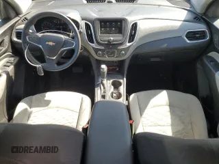2019 Chevrolet Equinox LS with VIN 3GNAXHEV0KS539269, listed as a Copart auction lot 48317305 with 116,089 mi miles and Salvage Title. Bid and sale history available at DreamBid. Image 8.