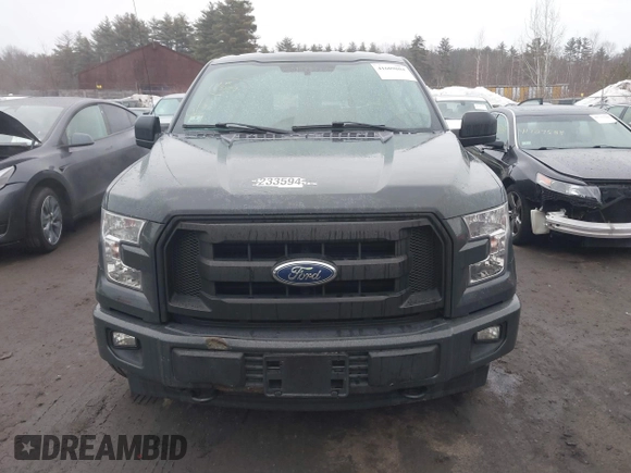 2017 Ford F-150 XL with VIN 1FTEX1E89HKD96516, listed as a IAAI auction lot 41609804 with 166,019 mi miles. Bid and sale history available at carsss.com. Image 12.