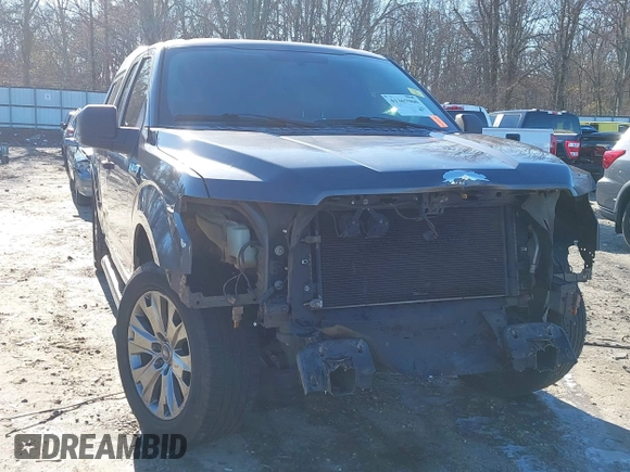 2015 Ford F-150 XL with VIN 1FTEX1C85FKD46390, listed as a IAAI auction lot 41367960 with 209,889 mi miles. Bid and sale history available at carsss.com. Image 6.
