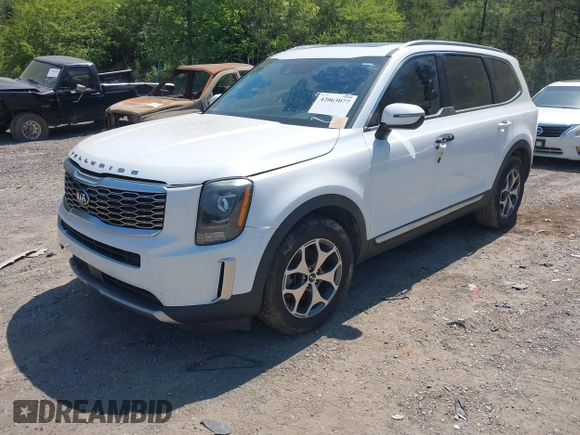 2020 Kia Telluride EX with VIN 5XYP34HC5LG008668, listed as a IAAI auction lot 42063077 with 59,480 mi miles and . Bid and sale history available at DreamBid. Image 16.