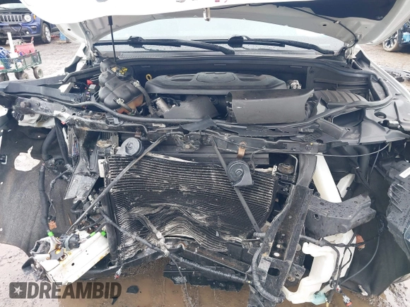 2017 Jeep Grand Cherokee Altitude with VIN 1C4RJFAG9HC946689, listed as a IAAI auction lot 41994538 with 123,339 mi miles and . Bid and sale history available at DreamBid. Image 10.