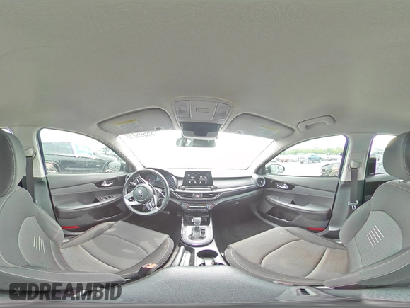 2019 Kia Forte S z VIN 3KPF34AD3KE110772, wystawiony jako Copart lot #55505815 z przebiegiem 123 180 mil mil oraz Szkoda całkowita • Salvage title. Historia ofert i sprzedaży dostępna na DreamBid. Obrazek 14.