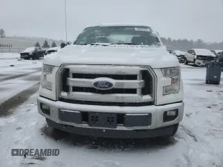 2017 Ford F-150 XL with VIN 1FTEW1EG0HFC21266, listed as a Copart auction lot 46624745 with 141,117 mi miles and Salvage Title. Bid and sale history available at carsss.com. Image 5.