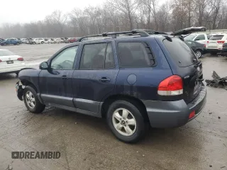 2005 Hyundai Santa Fe GLS with VIN KM8SC73D85U890802, listed as a Copart auction lot 80218154 with 230,793 mi miles and Salvage Title. Bid and sale history available at carsss.com. Image 2.