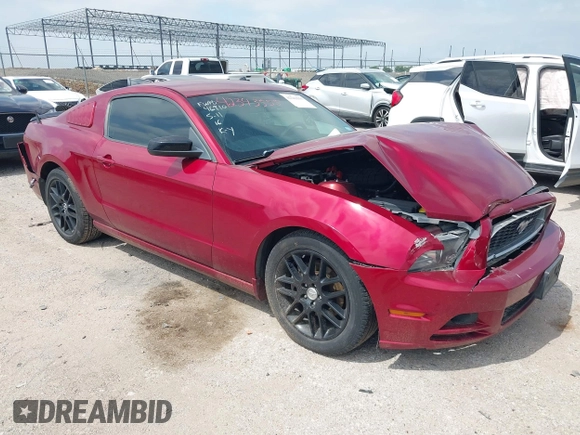 2014 Ford Mustang V6 with VIN 1ZVBP8AM7E5299126, listed as a IAAI auction lot 42343555 with 115,331 mi miles and . Bid and sale history available at DreamBid. Image 1.