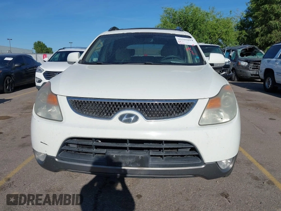 2008 Hyundai Veracruz GLS with VIN KM8NU13C68U029864, listed as a IAAI auction lot 42595094 with 219,131 mi miles and . Bid and sale history available at DreamBid. Image 6.