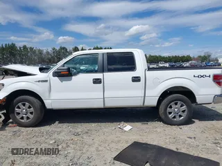 2013 Ford F-150 XL with VIN 1FTFW1EF7DKD34810, listed as a IAAI auction lot 41919083 with 158,531 mi miles. Bid and sale history available at carsss.com. Image 14.