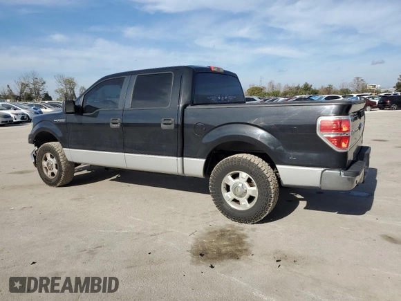 2010 Ford F-150 XL with VIN 1FTFW1CV6AFD01991, listed as a Copart auction lot 42699005 with 151,049 mi miles and Salvage Title. Bid and sale history available at DreamBid. Image 2.