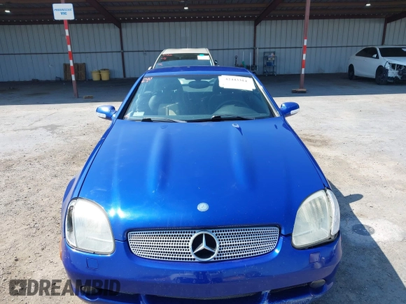 2001 Mercedes-Benz SLK 230/320 with VIN WDBKK65F11F189774, listed as a IAAI auction lot 42443314 with 228,078 mi miles and . Bid and sale history available at DreamBid. Image 12.