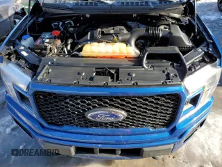 2018 Ford F-150 XL with VIN 1FTEX1EP1JFA25629, listed as a Copart auction lot 45557075 with 41,077 mi miles and Salvage Title. Bid and sale history available at carsss.com. Image 11.