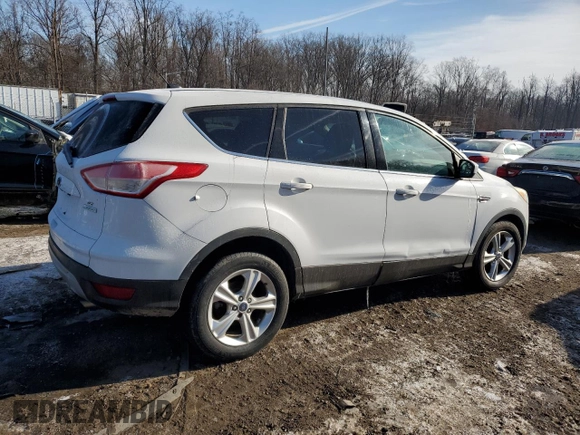 2014 Ford Escape SE with VIN 1FMCU0GX3EUA60323, listed as a Copart auction lot 89401645 with 0 mi miles and Clean Title. Bid and sale history available at carsss.com. Image 3.