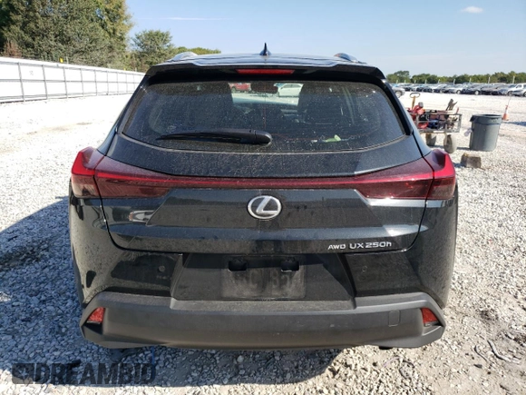 2024 Lexus UX 250h Premium с VIN JTHP9JBHXR2078332, выставлен на аукционе Copart как лот 72142744 с пробегом 7 462 миль миль и Списание • Salvage title. История ставок и продаж доступна на DreamBid. Изображение 6.