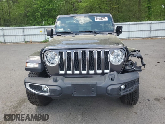 2019 Jeep Wrangler Unlimited Sahara with VIN 1C4HJXEN1KW504490, listed as a Copart auction lot 55633055 with 81,444 mi miles and Salvage Title. Bid and sale history available at DreamBid. Image 5.