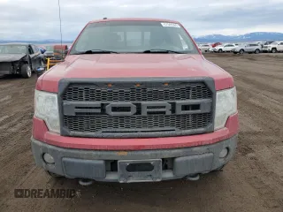 2010 Ford F-150 XL with VIN 1FTFX1EV2AFD81820, listed as a Copart auction lot 47546965 with 145,971 mi miles and Clean Title. Bid and sale history available at carsss.com. Image 5.