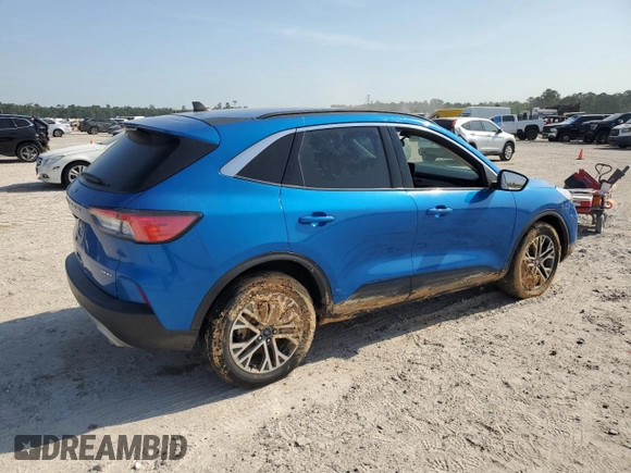 2021 Ford Escape SEL with VIN 1FMCU9H66MUA51351, listed as a Copart auction lot 53449225 with Not provided miles and Salvage title. Bid and sale history available at DreamBid. Image 3.