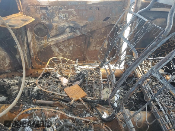 1969 Volkswagen Beetle with VIN 119235264, listed as a Copart auction lot 55211595 with Not Provided miles and Salvage Title. Bid and sale history available at DreamBid. Image 7.