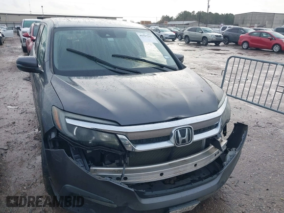 2020 Honda Pilot EX-L with VIN 5FNYF5H5XLB017103, listed as a IAAI auction lot 41557517 with 1 mi miles. Bid and sale history available at carsss.com. Image 6.