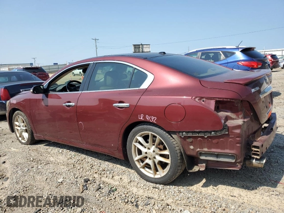 2010 Nissan Maxima SV with VIN 1N4AA5AP8AC837983, listed as a Copart auction lot 58348055 with 217,023 mi miles and Salvage title. Bid and sale history available at DreamBid. Image 2.