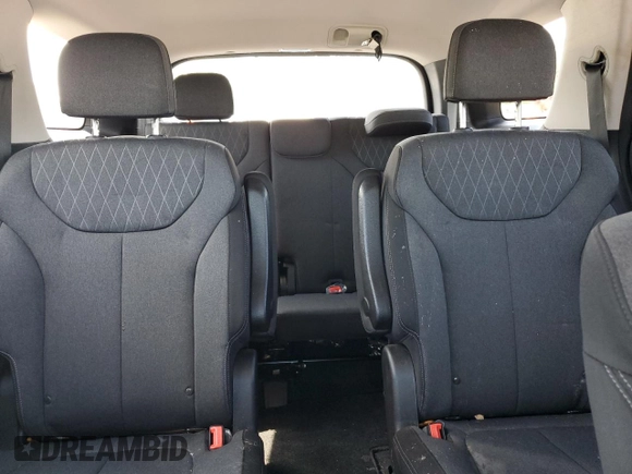 2020 Hyundai Palisade SEL with VIN KM8R2DHE2LU143565, listed as a Copart auction lot 58582375 with 72,435 mi miles and Salvage title. Bid and sale history available at DreamBid. Image 10.