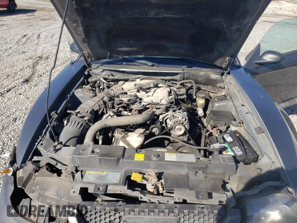 2004 Ford Mustang Standard with VIN 1FAFP40434F119248, listed as a Copart auction lot 49327515 with 210,235 mi miles and Salvage Title. Bid and sale history available at carsss.com. Image 11.