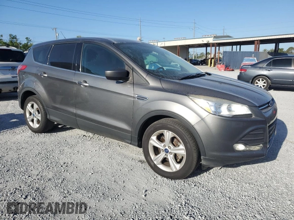 2014 Ford Escape SE with VIN 1FMCU0GXXEUB83262, listed as a Copart auction lot 55216115 with 113,549 mi miles and Clean Title. Bid and sale history available at DreamBid. Image 4.