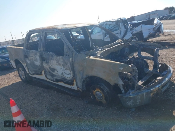 2010 Ford F-150 XL with VIN 1FTEW1C84AFB53183, listed as a IAAI auction lot 41863549 with Not provided miles and . Bid and sale history available at DreamBid. Image 1.