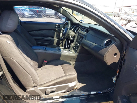 2013 Ford Mustang V6 with VIN 1ZVBP8AM3D5244879, listed as a IAAI auction lot 42210809 with Not provided miles and . Bid and sale history available at DreamBid. Image 5.