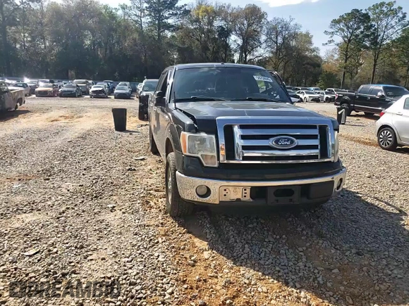 2012 Ford F-150 XL with VIN 1FTEW1CM7CFA48315, listed as a Copart auction lot 50259085 with 242,761 mi miles and Salvage Title. Bid and sale history available at carsss.com. Image 11.