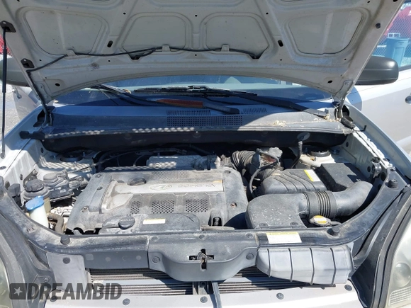 2006 Hyundai Tucson GL with VIN KM8JM12BX6U249982, listed as a IAAI auction lot 41976033 with 107,153 mi miles. Bid and sale history available at carsss.com. Image 10.