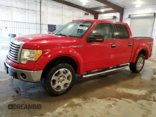 2010 Ford F-150 XL z VIN 1FTFW1EV5AFB83896, wystawiony jako Copart lot #62493695 z przebiegiem 189 794 mil mil oraz Czysty tytuł • Clean title. Historia ofert i sprzedaży dostępna na DreamBid. Obrazek 1.