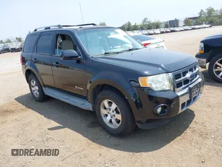 2009 Ford Escape Hybrid with VIN 1FMCU49319KB21624, listed as a IAAI auction lot 42666813 with 167,423 mi miles and . Bid and sale history available at DreamBid. Image 1.