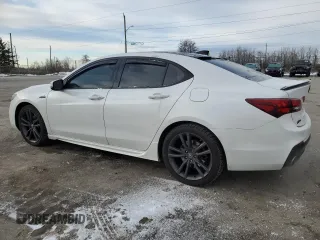 2019 Acura TLX w/Advance Pkg with VIN 19UUB3F87KA800495, listed as a Copart auction lot 82974504 with 67,054 mi miles and Salvage Title. Bid and sale history available at carsss.com. Image 2.