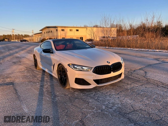 2019 BMW 8 Series M850i xDrive with VIN WBABC4C59KBU95625, listed as a Copart auction lot 43650255 with 64,452 mi miles and Clean Title. Bid and sale history available at DreamBid. Image 4.