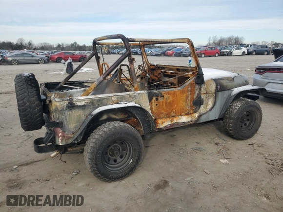 1990 Jeep Wrangler "S" with VIN 2J4FY19E1LJ550785, listed as a Copart auction lot 41930685 with 0 mi miles and Non Repairable. Bid and sale history available at carsss.com. Image 3.