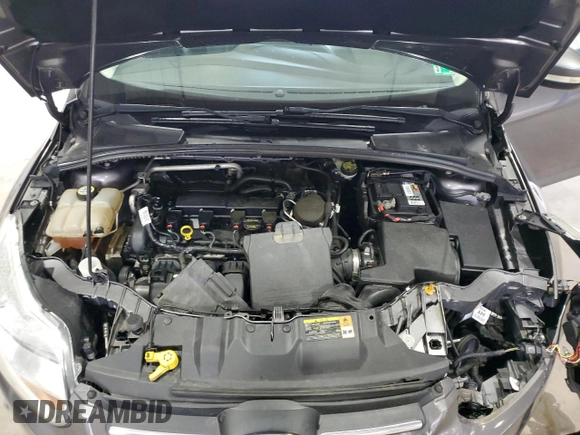 2013 Ford Focus SE with VIN 1FADP3F20DL250081, listed as a Copart auction lot 62140995 with 78,118 mi miles and Salvage title. Bid and sale history available at DreamBid. Image 11.