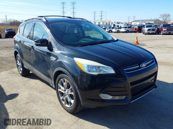 2013 Ford Escape SEL with VIN 1FMCU9HX1DUA20307, listed as a IAAI auction lot 41933873 with 164,962 mi miles. Bid and sale history available at carsss.com. Image 1.