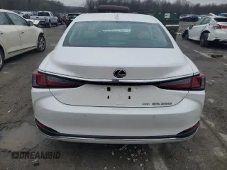 2021 Lexus ES with VIN 58AD11D19MU006860, listed as a Copart auction lot 52684255 with 57,030 mi miles and Salvage Title. Bid and sale history available at carsss.com. Image 6.