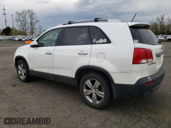 2013 Kia Sorento EX with VIN 5XYKUCA62DG406430, listed as a Copart auction lot 49768465 with 106,438 mi miles and Salvage Title. Bid and sale history available at carsss.com. Image 2.
