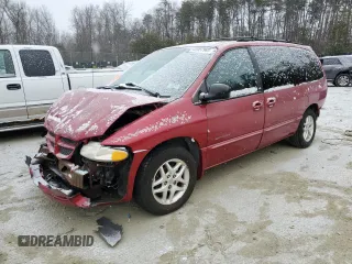1999 Dodge Caravan SE with VIN 1B4GP44L4XB876183, listed as a Copart auction lot 45957965 with 0 mi miles and Salvage Title. Bid and sale history available at carsss.com. Image 1.