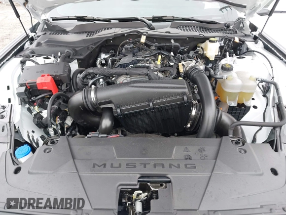 2024 Ford Mustang EcoBoost z VIN 1FA6P8TH3R5109662, wystawiony jako IAAI lot #42164383 z przebiegiem 3 336 mil mil oraz . Historia ofert i sprzedaży dostępna na DreamBid. Obrazek 10.