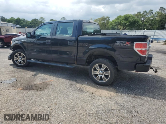 2014 Ford F-150 XL with VIN 1FTFW1EF4EFA38279, listed as a Copart auction lot 53785024 with 162,474 mi miles and Salvage title. Bid and sale history available at DreamBid. Image 2.