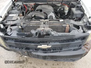 2007 Chevrolet Silverado 1500 Work Truck with VIN 2GCEC13J871554666, listed as a Copart auction lot 48214405 with 286,120 mi miles and Clean Title. Bid and sale history available at DreamBid. Image 13.
