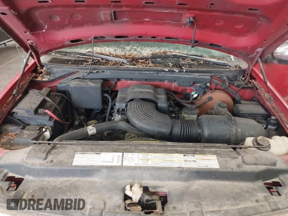 1998 Ford F-150 с VIN 1FTZX1761WKB08028, выставлен на аукционе IAAI как лот 40724830 с пробегом 243 198 миль миль и . История ставок и продаж доступна на DreamBid. Изображение 10.