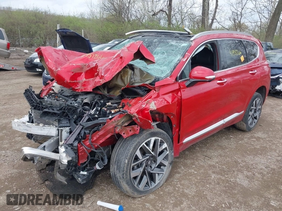 2023 Hyundai Santa Fe Calligraphy with VIN 5NMS5DAL4PH509920, listed as a IAAI auction lot 41951266 with 38,167 mi miles and . Bid and sale history available at DreamBid. Image 6.