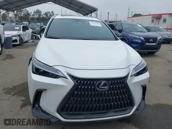 2025 Lexus NX 350 Premium with VIN JTJGGCEZ6S2023225, listed as a IAAI auction lot 42385139 with 1,590 mi miles and . Bid and sale history available at DreamBid. Image 12.