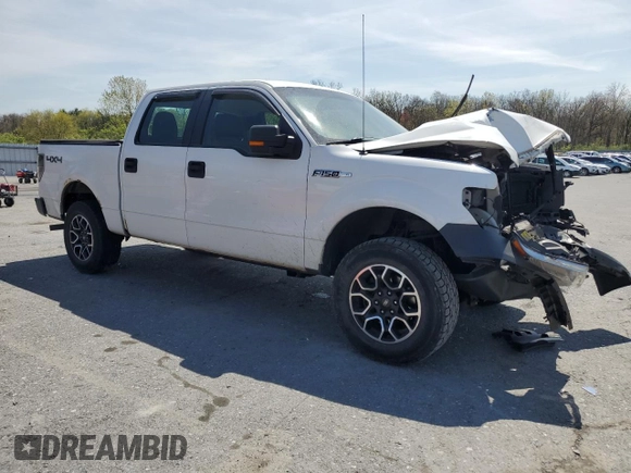 2010 Ford F-150 XL with VIN 1FTFW1EV6AKE26946, listed as a Copart auction lot 53942875 with 217,777 mi miles and Salvage Title. Bid and sale history available at carsss.com. Image 4.