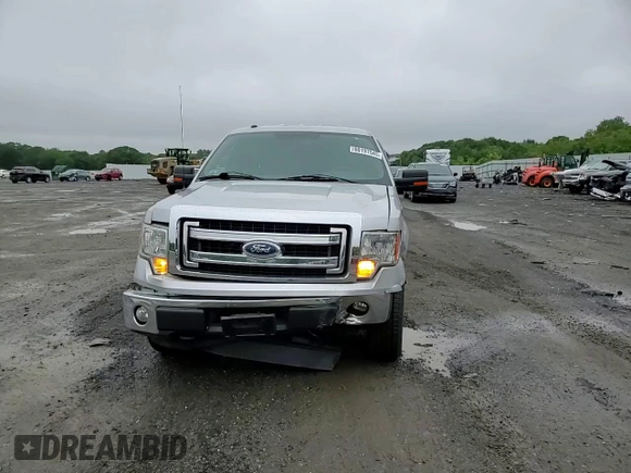2013 Ford F-150 XL with VIN 1FTNF1EF1DKD18422, listed as a Copart auction lot 60197545 with 82,179 mi miles and Clean title. Bid and sale history available at DreamBid. Image 13.