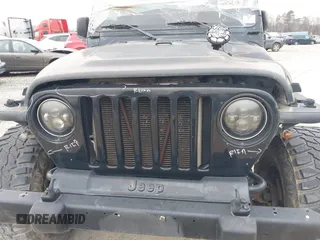 2003 Jeep Wrangler X with VIN 1J4FA39S33P375741, listed as a IAAI auction lot 40858427 with Not provided miles and . Bid and sale history available at DreamBid. Image 10.