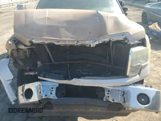2010 Ford F-150 XL with VIN 1FTEW1C82AFD04120, listed as a Copart auction lot 48870955 with 209,719 mi miles and Salvage Title. Bid and sale history available at carsss.com. Image 11.